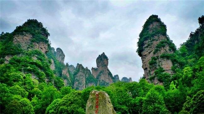 要關注了！湖南這6個國家森林公園總體規劃獲國家批復